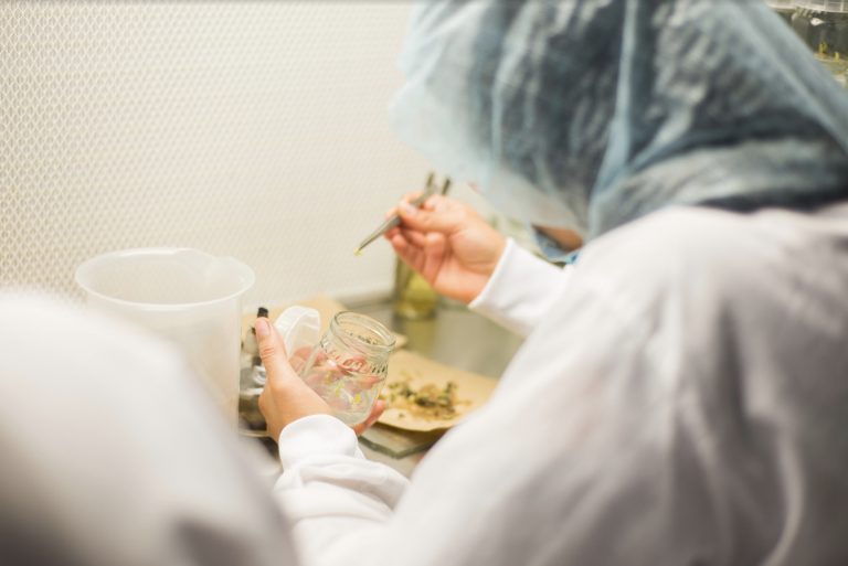 Laboratorio de Biotecnología Vegetal